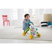 ANTEPREMERGATOR ZEBRA FISHER PRICE VIVMTDLD80