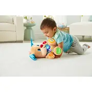 CATELUSUL VORBITOR SI EDUCATIV LIMBA ROMANA FISHER PRICE VIVMTFPN99