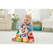 CATELUSUL VORBITOR SI EDUCATIV LIMBA ROMANA FISHER PRICE VIVMTFPN99