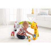 CENTRU DE ACTIVITATI 3IN1 FISHER PRICE VIVMTCCB70