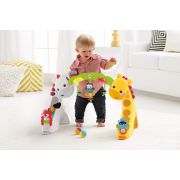 CENTRU DE ACTIVITATI 3IN1 FISHER PRICE VIVMTCCB70
