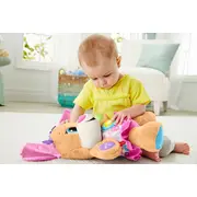FISHER PRICE CATELUSA SIS VORBESTE IN LIMBA ROMANA VIVMTFPP92