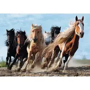 PUZZLE TREFL 1000 CAI LA GALOP VIV10446