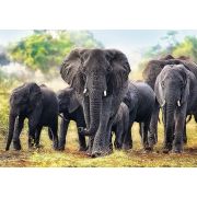 PUZZLE TREFL 1000 ELEFANTI AFRICANI VIV10442