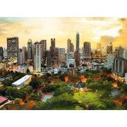 PUZZLE TREFL 3000 APUS IN BANGKOK VIV33060