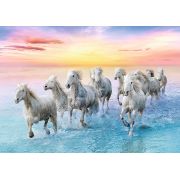 PUZZLE TREFL 500 CAI ALBI GALOPAND VIV37289