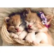 PUZZLE TREFL 500 PISICUTE SOMNOROASE VIV37271