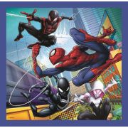 PUZZLE TREFL 3IN1 FORTA PAIANJENULUI VIV34841