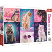 PUZZLE TREFL 1000 SUPER PISICI NEON VIV10581
