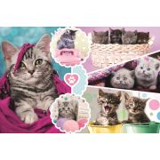 PUZZLE TREFL 160 PISICI DRAGALASE VIV15371