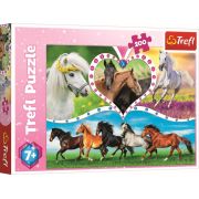 PUZZLE TREFL 200 FRUMOSII CAI VIV13248