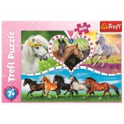 PUZZLE TREFL 200 FRUMOSII CAI VIV13248