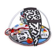Baby Einstein - Salteluta de activitati Bold New World BBB11398