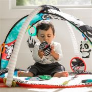Baby Einstein - Salteluta de activitati Bold New World BBB11398