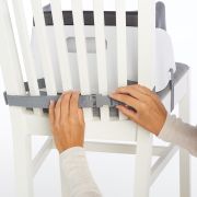Ingenuity – Booster Toddler Slate BBB11787