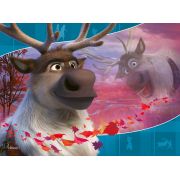 PUZZLE FROZEN II, 12/16/20/24 PIESE - ARTRVSPC03019