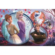 PUZZLE TREFL 160 UNIVERSUL FROZEN2 VIV15374