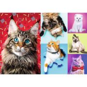 PUZZLE TREFL 1000 PISICUTE FERICITE VIV10591