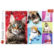 PUZZLE TREFL 1000 PISICUTE FERICITE VIV10591