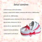 Trusou botez pentru Fetite in cutie model landou cu fundita rosie si fluturasi Denikos® 151 NKO1706