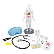 Corpul uman - 12 experimente NEW - BK2163