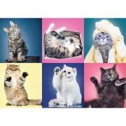PUZZLE TREFL 500 PISICUTE VIV37377