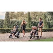 Lionelo - Tricicleta Tris Candy Mecanism de pedalare libera, Suport picioare, Control al directiei, Scaun reversibil, Rotire 360 grade, Pliabila, Roz/Gri BYNLO-TRISCANDY_ROSE/GREY