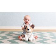 Catelusul danny peek a boo tnaza-danny-01