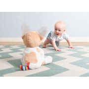 Catelusul danny peek a boo tnaza-danny-01