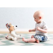 Catelusul danny peek a boo tnaza-danny-01