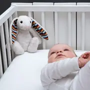 Jucarie muzicala zazu kids bibi tnaza-bibi-01