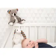 Jucarie muzicala zazu kids bibi tnaza-bibi-01