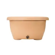 Cadita de baie cu suport si capac catelus crem tna6712h