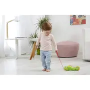 Cameleonul amuzant tnai17510