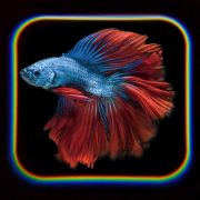 Proiector tip lanterna - oceanul