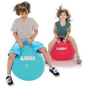 LUDI Minge saltareata BLUE 55 cm DNBLUD90104