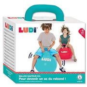 LUDI Minge saltareata BLUE 55 cm DNBLUD90104