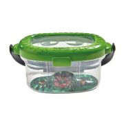 Observatorul pentru insecte