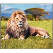 Proiector tip lanterna - animale periculoase