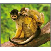 Proiector tip lanterna - animale salbatice