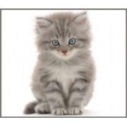 Proiector tip lanterna - animalute simpatice