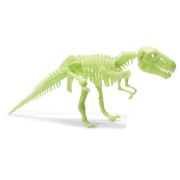 Schelet t-rex reflectorizant