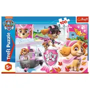 PUZZLE TREFL 100 SKYE IN ACTIUNE VIV16368