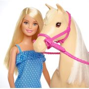 BARBIE SET PAPUSA CU CAL VIVMTFXH13