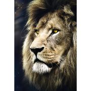 PUZZLE TREFL 1500 LEU PORTRET VIV26139