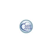 Tetina Chicco silicon PHYSIOLOGIC, 2buc, flux normal, sistem avansat anticolici, 0luni+ - CHC20811-7