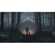 Blair Witch Ps4 - VG90287