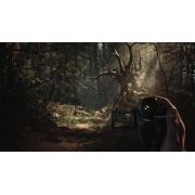 Blair Witch Ps4 - VG90287