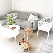 Patut Mic, Co-sleeping Din Lemn, Classic Alb Cu Saltea Cocos Spuma Cocos 90 X 40 X 7 Cm Pjbbedside_white