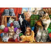 PUZZLE TREFL 1000 INTALNIREA PISICUTELOR VIV10555
